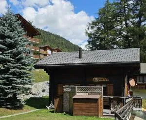 Chalet Siesta OG - Mühlebach