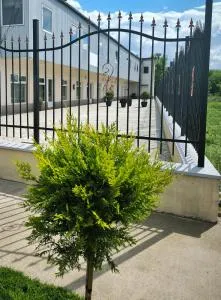 Adriana Touristik Hostel 3 Stele Arad - Vladimirescu