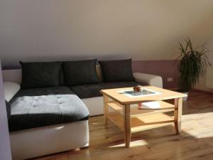 Schwalbennest Comfortable holiday residence