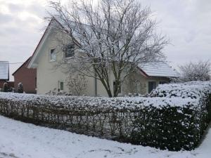 Schwalbennest Comfortable holiday residence