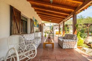 Jungle Room Apartment