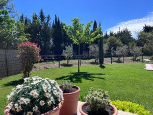 Villas Mazet Brunelly : photos des chambres