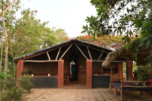 Bastar Birds Nest