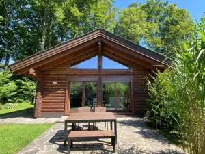 Hütte am Wald - 萨尔茨堡附近霍夫