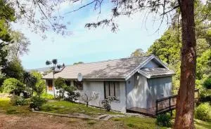 Badger's Cottage - 雷因恩道尔