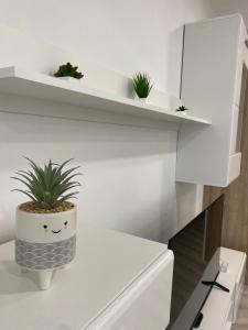 Apartma La Vita 