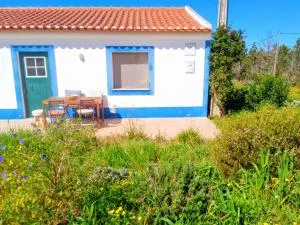 Nature retreat, trails & river - Carrasqueira