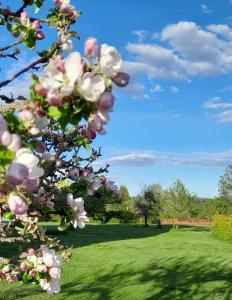 Villa Vi apartment 1