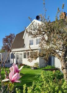 Villa Vi apartment 1