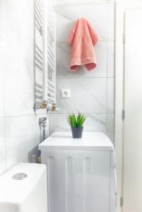 Emphasis - Galerius Palace #Skgbnb