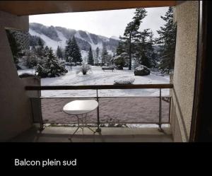 Appartements Studio 25m2, 5 pers, 30m des pistes, balcon sud : photos des chambres