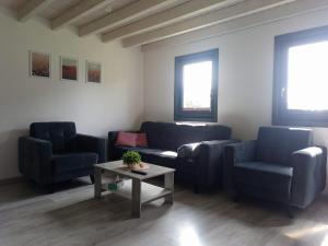 Domek na Kaszubach, Borowy Młyn, jezioro Gwiazda, sauna, 4