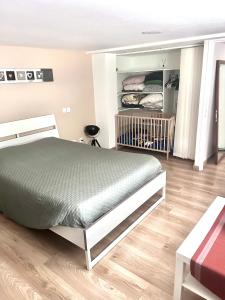 La Perle, proche Roissy CDG, Paris, Parc asterix, Disney