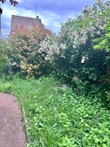 La Perle, proche Roissy CDG, Paris, Parc asterix, Disney