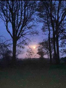 Cosy farmhouse in the heart of Roscommon