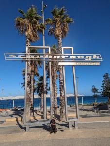 Sunset Shores Scarborough King Bed Beachfront