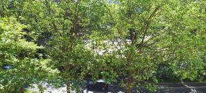 Cosy Studio La Defense