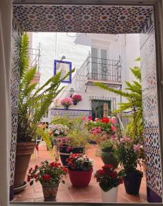 Hostal Enriqueta