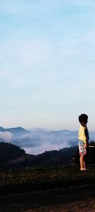 แจ่มฟ้าเมาท์เท่นวิว Chaemfa Mountain View