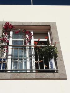 Puerto de Mogan Sonneland