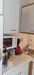 Innenstadtgarten-Wohnung