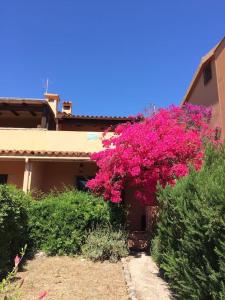 Splendida spiaggia di Porto Istana Sconti