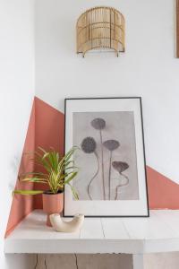 Domus Fori Imperiali