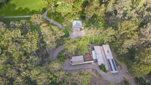 Saltwater Creek - The Birds Nest