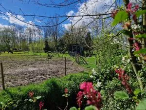 Pipo keetje Pip - Kropswolde