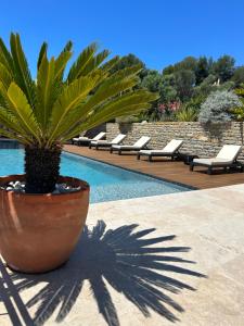 B&B / Chambres d'hotes Cote vignes cassis : photos des chambres