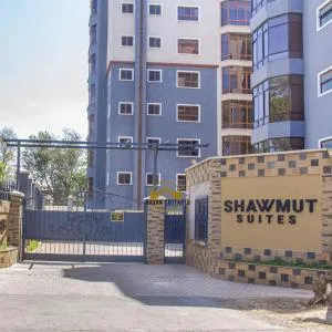 Havan Furnished Apartment-Shawmut - Nakuru