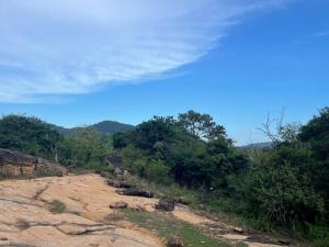 LakeSide Camping Yala