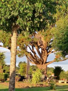 Maisons de vacances gite en campagne Lamegritniere : photos des chambres