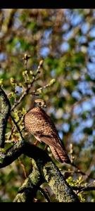 The Farmhouse at Moss Bank Farm