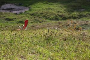 Bell tent Binnen Duin