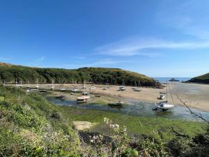 Carreg Llwyd cottage, Solva