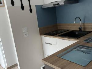 Appartements Appartement T2bis proche centre, 4-6 pers, parking - FR-1-234-297 : photos des chambres