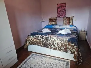 New! Il Gelsomino di Lucca - Ponte San Pietro