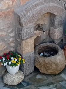 Riglias Dream Catcher