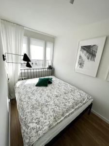 Komfort w Centrum Wrocławia