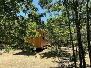 Campings Camping la Kahute - Tiny House au coeur de la foret : photos des chambres