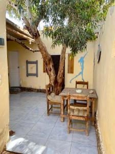 Courtyard Eel Garden