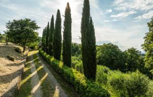 3 Bedroom Beautiful Home In Arezzo