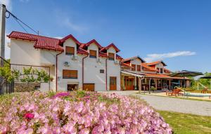 Amazing Home In Oljasi With Sauna