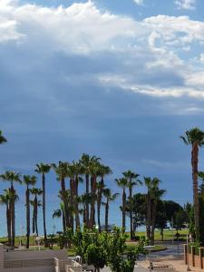 Mondrian Magic World - sea view first line of the beach