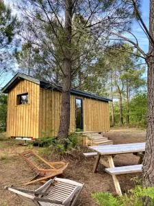 Camping la Kahute - Tiny House au coeur de la fôret - Brach