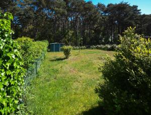 Dünenvilla 4 in Thiessow