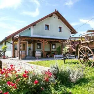 Turistična kmetija EMIL - Spodnji Gasteraj