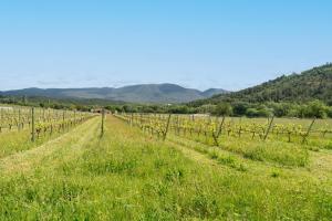 Appartements Maison Marvic, Studio dans les pins : photos des chambres