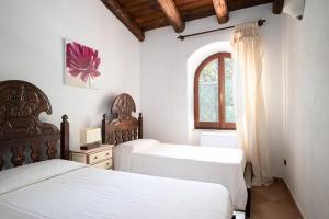 Ca cele viola - Klodge img19